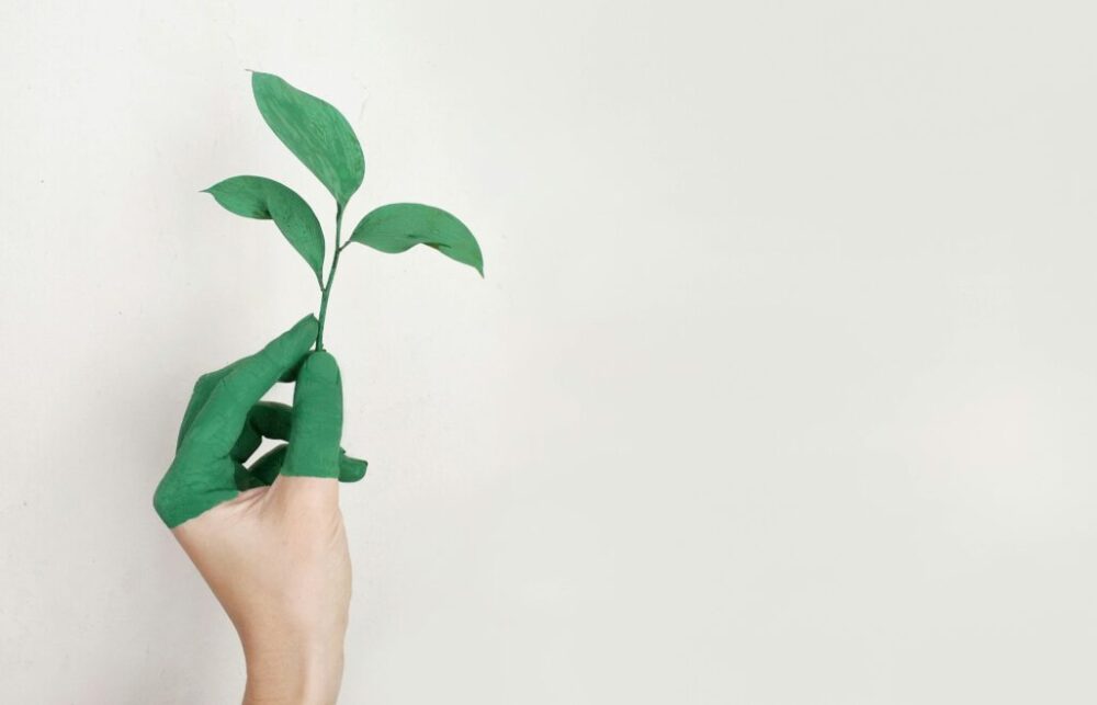 Hand hält grünes Blatt als Symbol für nachhaltiges Fertighaus mit QNG-Zertifizierung